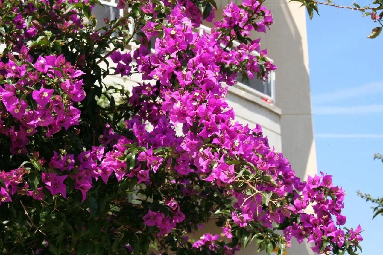 R141 Manila Resort Patio Calafell Holiday home